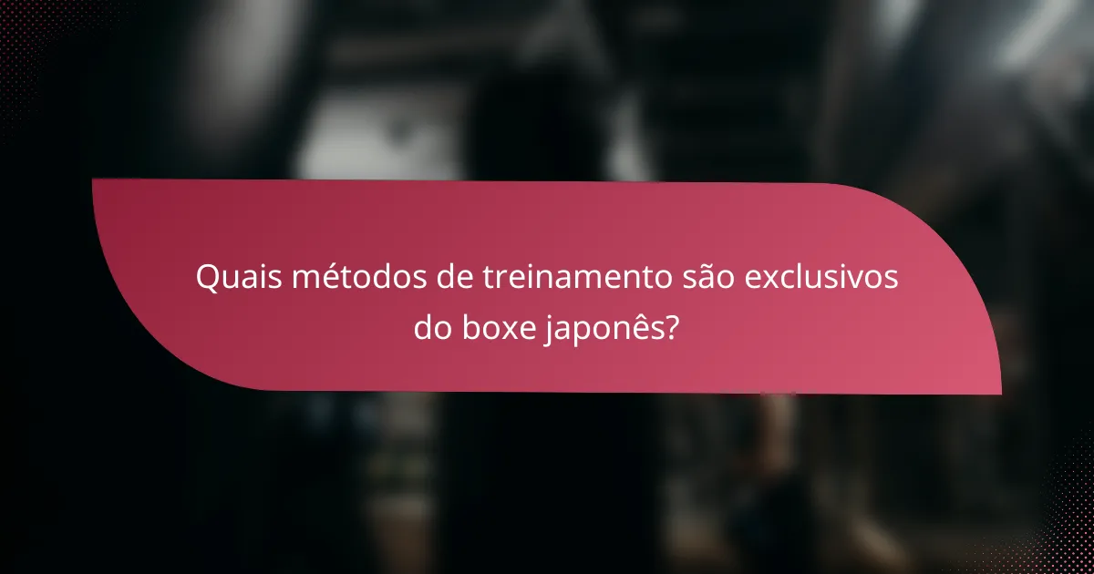 Quais métodos de treinamento são exclusivos do boxe japonês?